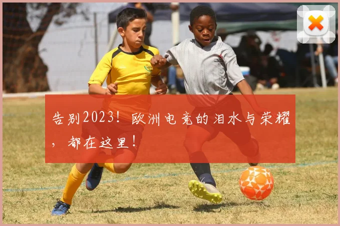 告别2023!欧洲电竞的泪水与荣耀,都在这里!